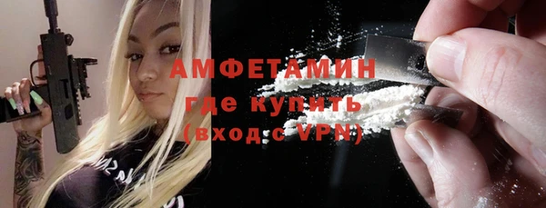 индика Волосово