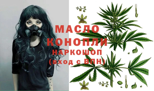 индика Волосово