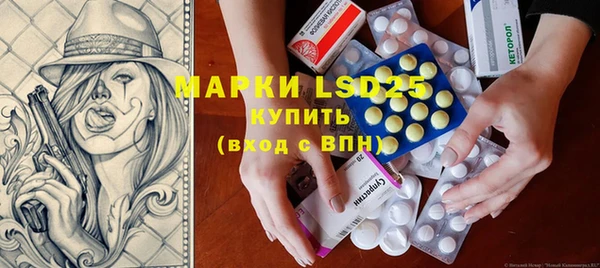 индика Волосово