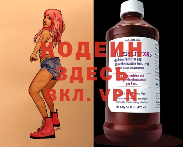 индика Волосово