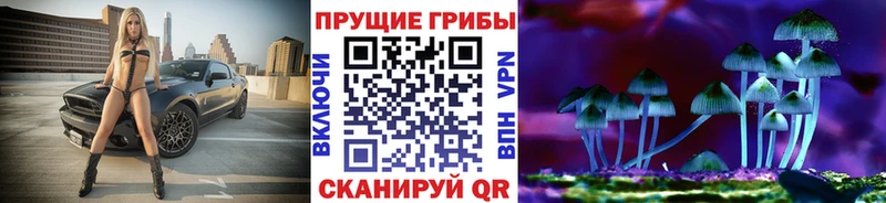 Галлюциногенные грибы Psilocybe KRAKEN как войти Заинск