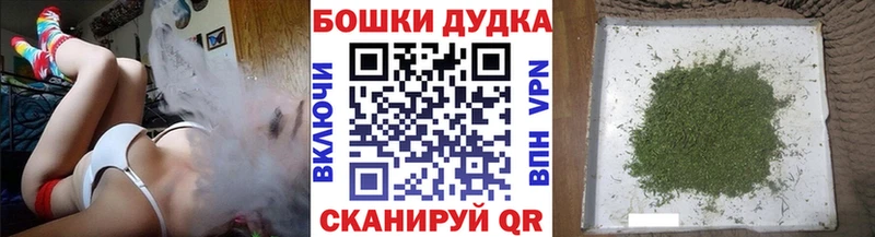 где можно купить наркотик  Заинск  Бошки Шишки индика 